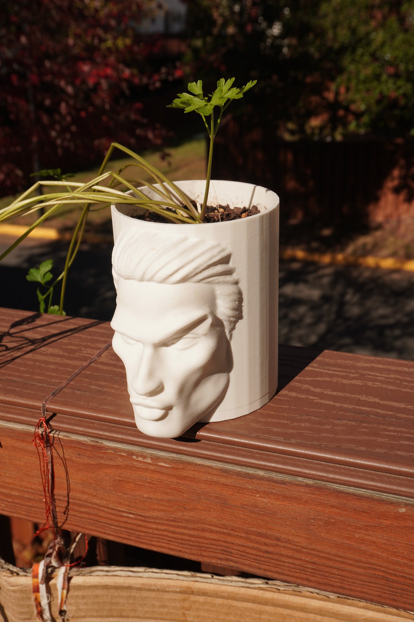 Mog Pot - Aesthetic Grower