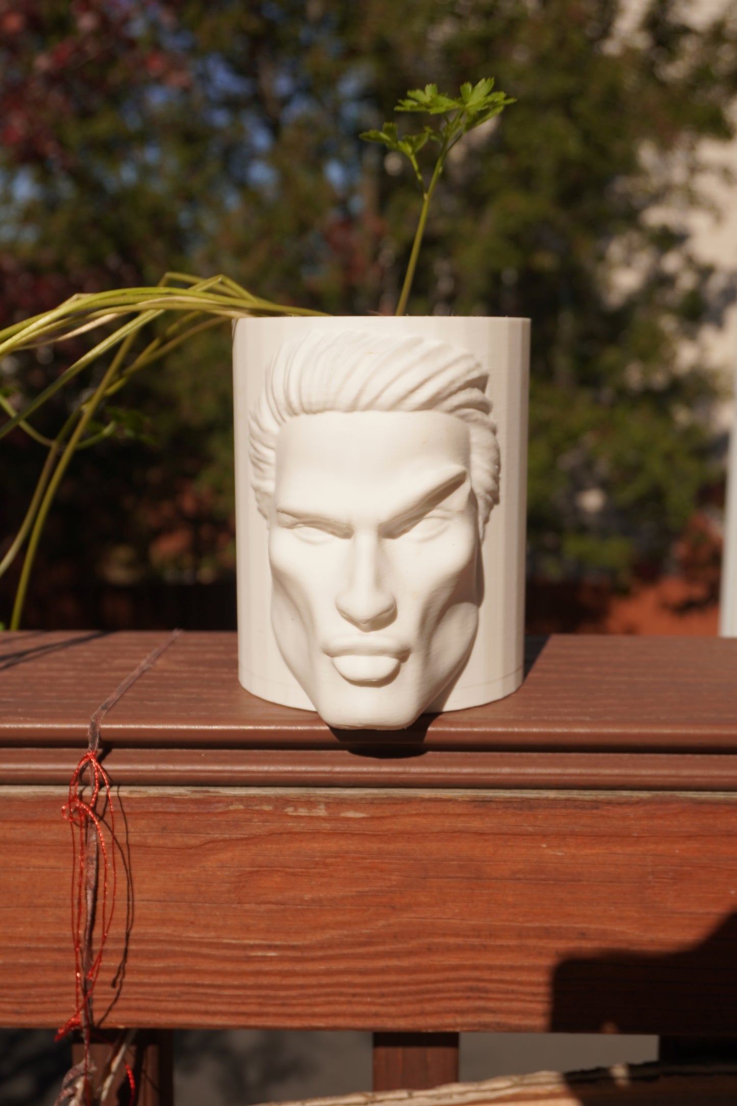 Mog Pot - Aesthetic Grower