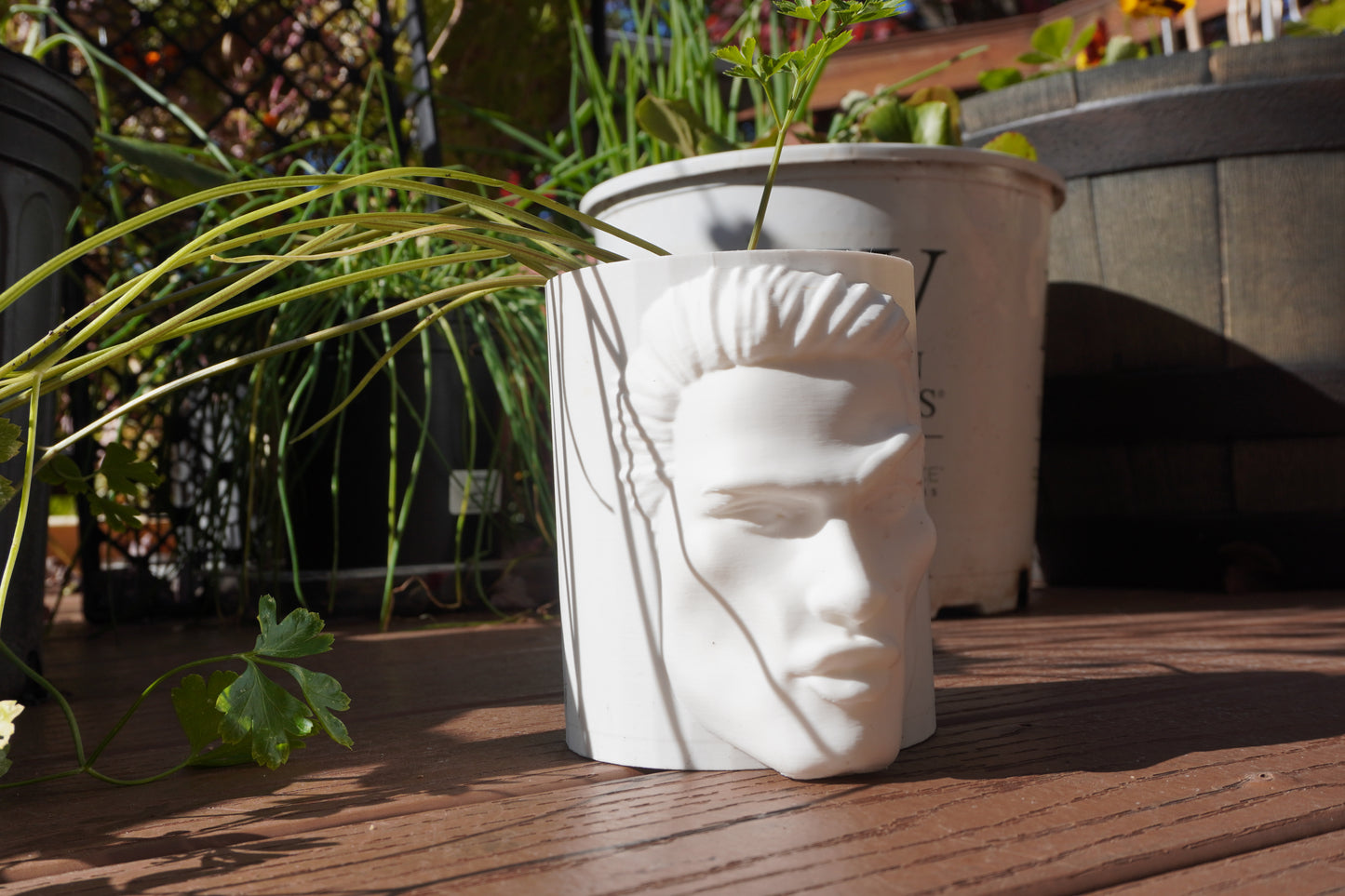 Mog Pot - Aesthetic Grower